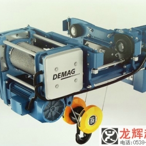 RDR-Basϵ늄(dng)J DEMAG DR-Bas series electric hoist